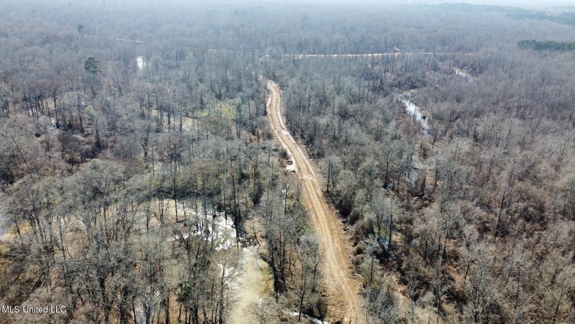 +/- 625 acre hardwood timber river bottom hunting tract in - photo 30