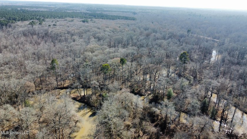 +/- 625 acre hardwood timber river bottom hunting tract in - photo 32