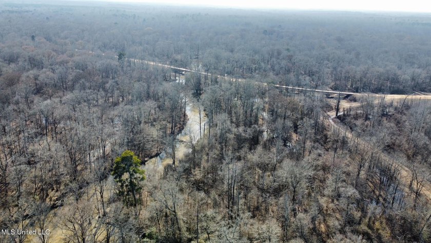 +/- 625 acre hardwood timber river bottom hunting tract in - photo 33