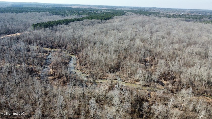 +/- 625 acre hardwood timber river bottom hunting tract in - photo 35