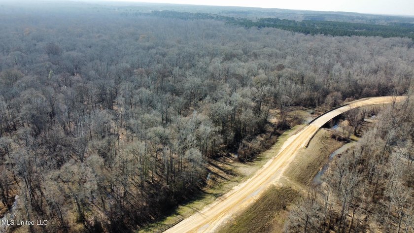 +/- 625 acre hardwood timber river bottom hunting tract in - photo 36