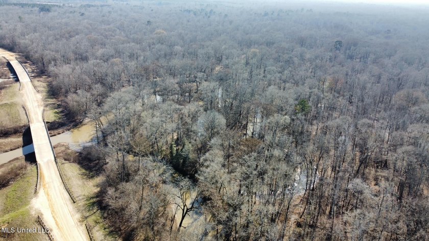 +/- 625 acre hardwood timber river bottom hunting tract in - photo 37