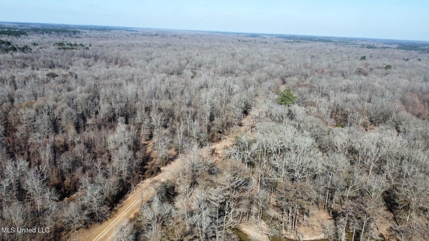 +/- 625 acre hardwood timber river bottom hunting tract in - photo 39