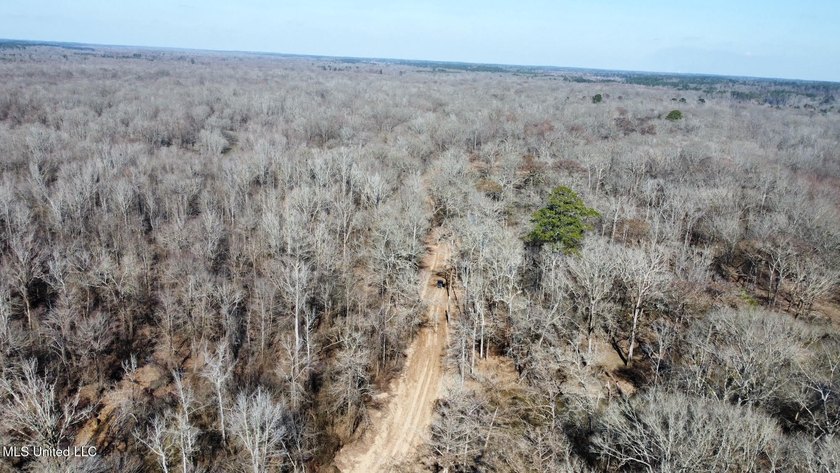 +/- 625 acre hardwood timber river bottom hunting tract in - photo 40