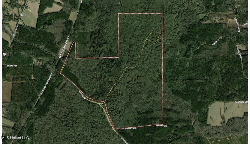 +/- 625 acre hardwood timber river bottom hunting tract in - photo 50