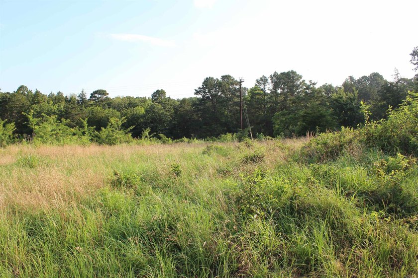 Midwest Land Group is pleased to present Tract 2 of 24 - photo 22