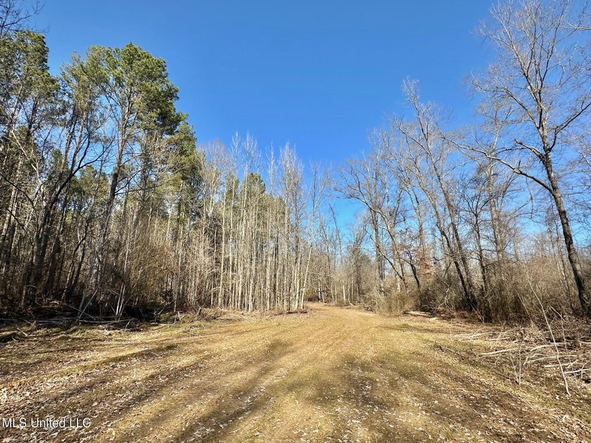 +/- 438 acre hardwood timber river bottom hunting tract in - photo 16