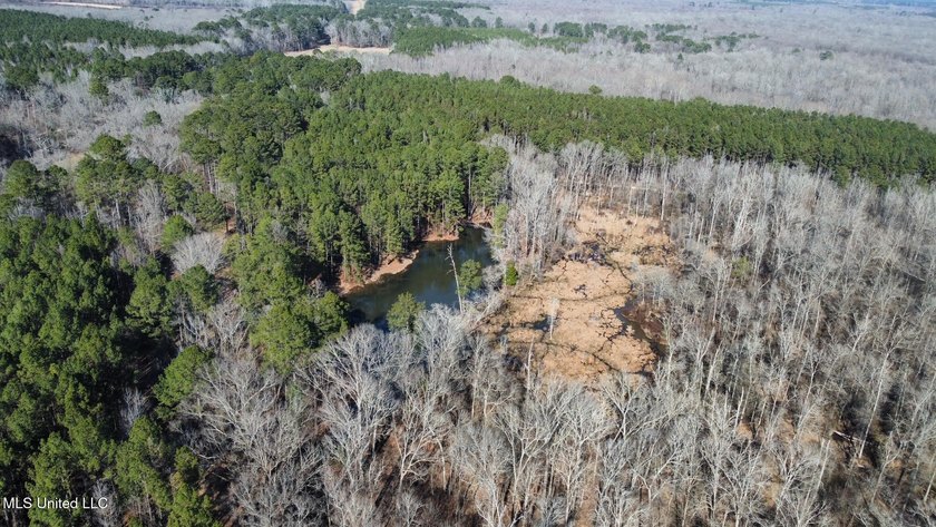 +/- 438 acre hardwood timber river bottom hunting tract in - photo 18