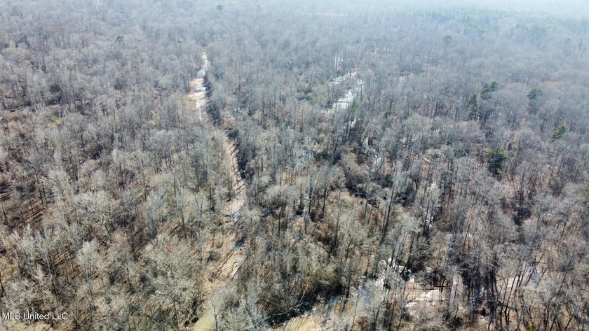 +/- 438 acre hardwood timber river bottom hunting tract in - photo 24