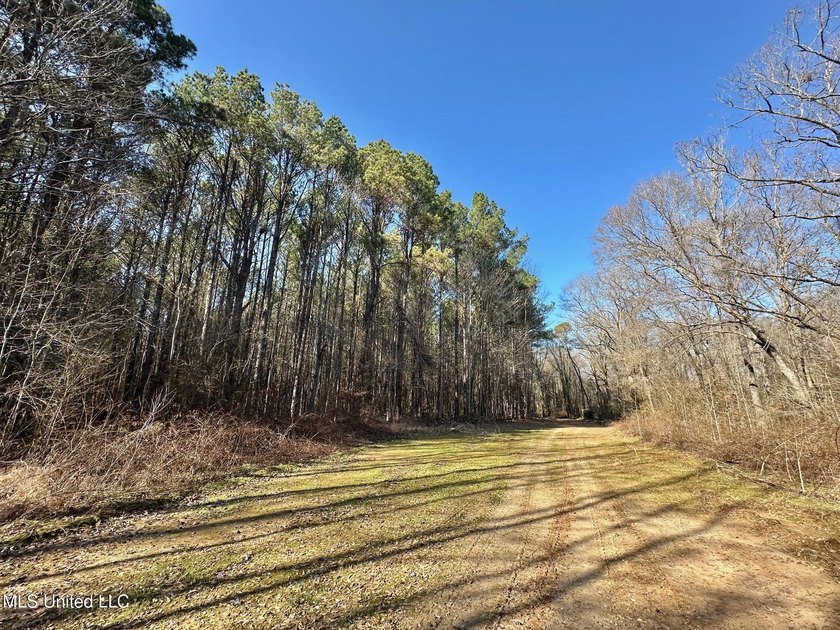 +/- 438 acre hardwood timber river bottom hunting tract in - photo 28