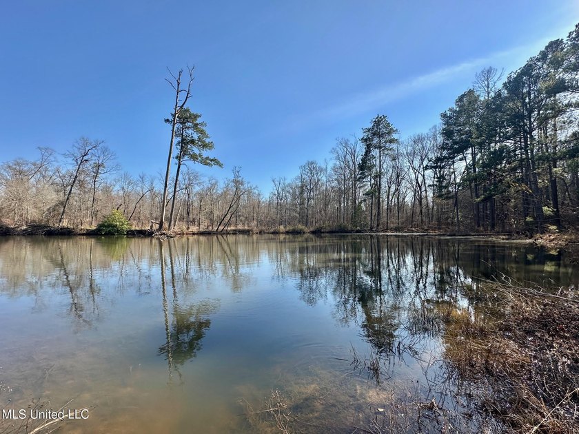 +/- 438 acre hardwood timber river bottom hunting tract in - photo 30