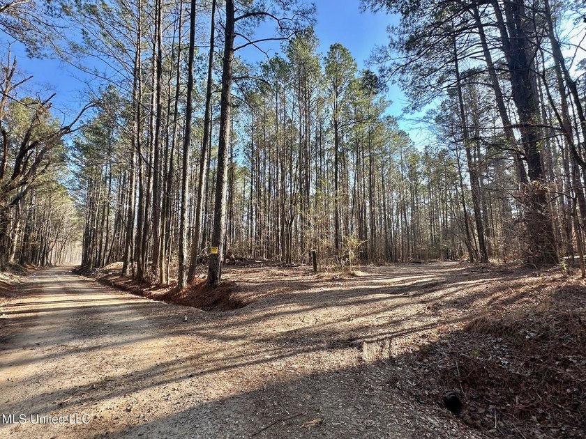 +/- 438 acre hardwood timber river bottom hunting tract in - photo 32