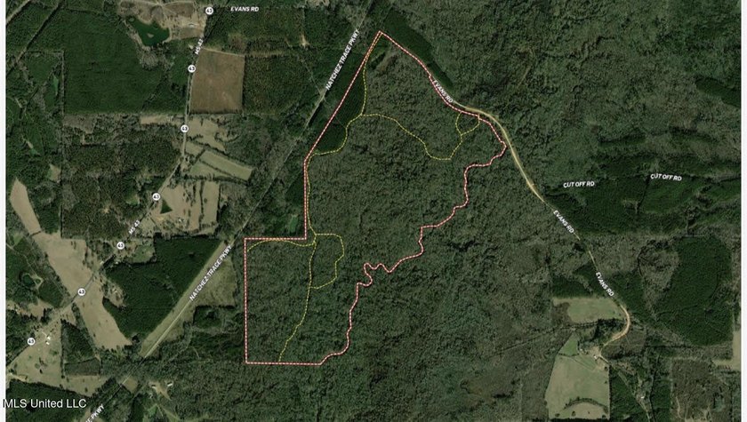 +/- 438 acre hardwood timber river bottom hunting tract in - photo 45