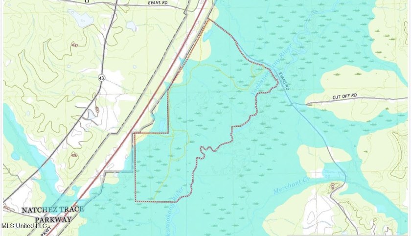 +/- 438 acre hardwood timber river bottom hunting tract in - photo 46