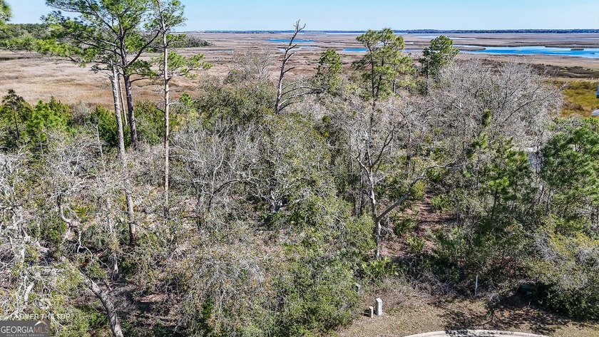 Marsh front building site on cul-de-sac in the gated community - photo 6