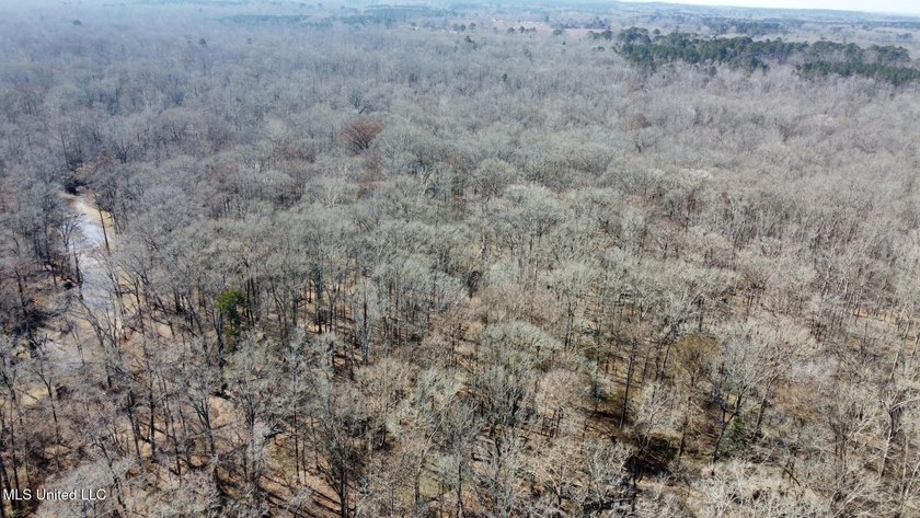 +/- 269 acre hardwood timber river bottom hunting tract in - photo 30