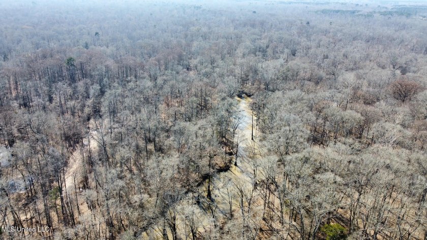 +/- 269 acre hardwood timber river bottom hunting tract in - photo 31