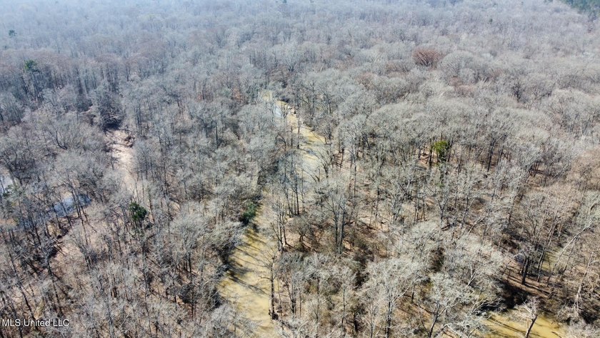 +/- 269 acre hardwood timber river bottom hunting tract in - photo 36