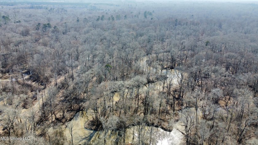 +/- 269 acre hardwood timber river bottom hunting tract in - photo 38