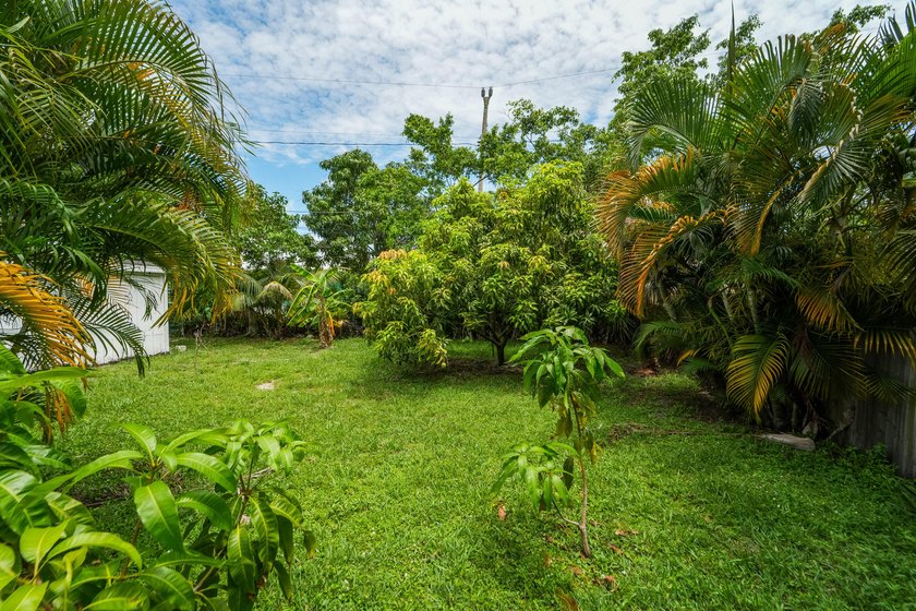 Outstanding Development Opportunity on an Essentially Double Lot - photo 11