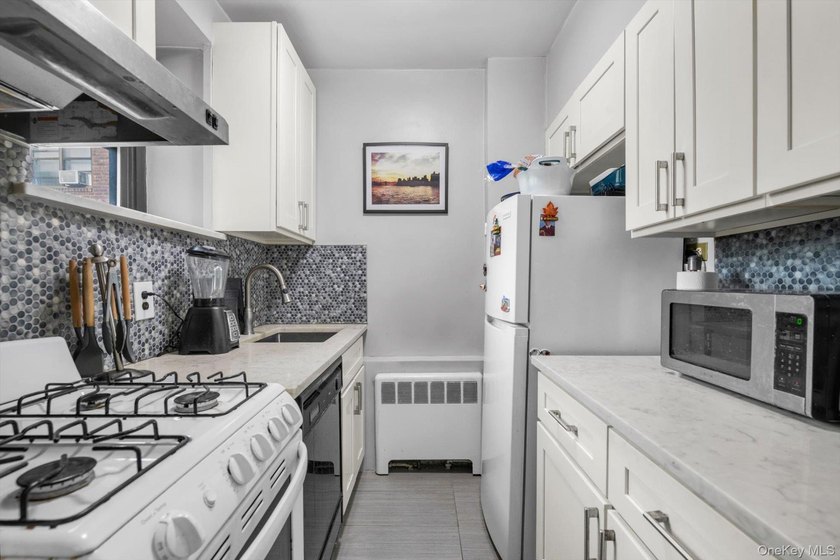 Beautiful 1 Bedroom 1 Bath in the Heart of Great Neck with newly - photo 8