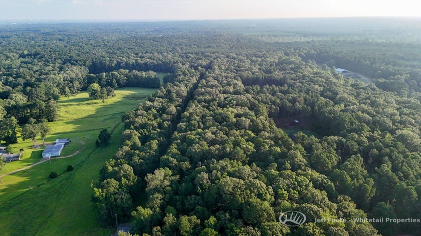 Opportunities to own smaller acreage with both homesite - photo 2
