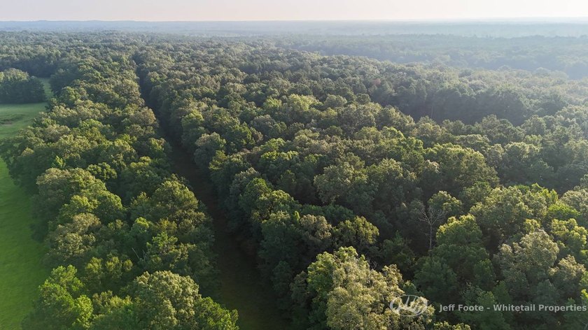 Opportunities to own smaller acreage with both homesite - photo 3