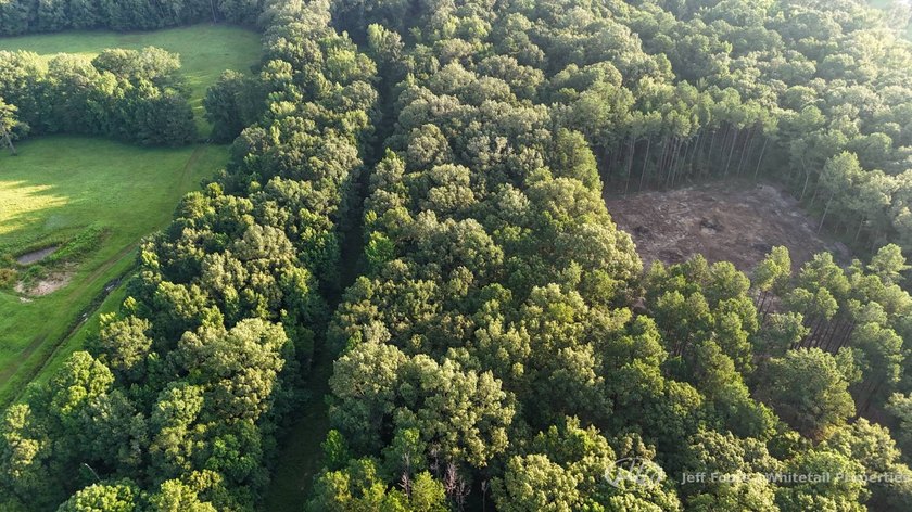 Opportunities to own smaller acreage with both homesite - photo 7
