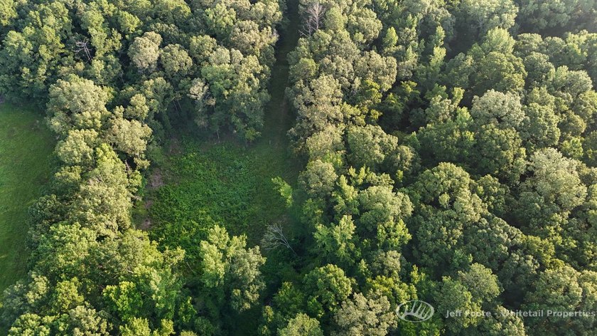Opportunities to own smaller acreage with both homesite - photo 8