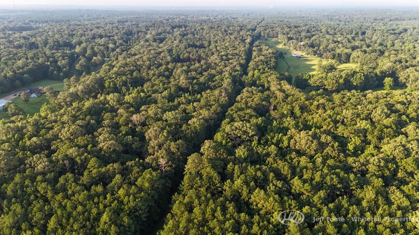 Opportunities to own smaller acreage with both homesite - photo 9
