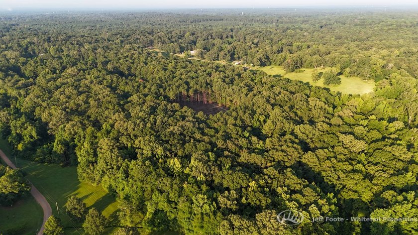 Opportunities to own smaller acreage with both homesite - photo 10