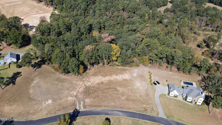 Situated within the gated community of Gray's Creek, this nearly - photo 3