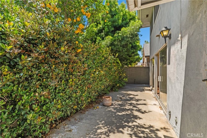 Potential! Potential! First time on the market in 50 years. This - photo 31