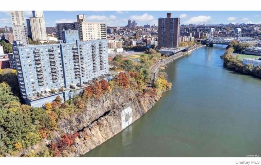 Gorgeous Totally Renovated Spacious One Bedroom in Riverdale's - photo 3