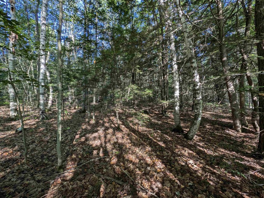 Beautiful 11.933 acre lot that looks out on the 1st fairway of - photo 11