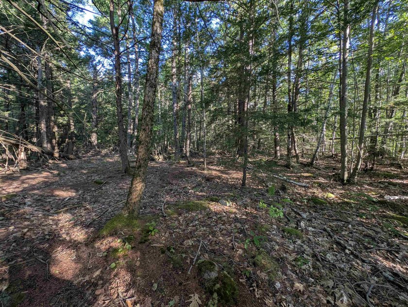 Beautiful 11.933 acre lot that looks out on the 1st fairway of - photo 12