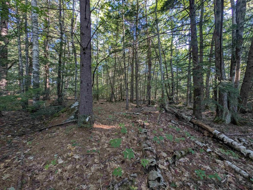 Beautiful 11.933 acre lot that looks out on the 1st fairway of - photo 13