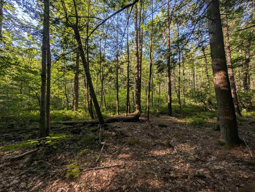 Beautiful 11.933 acre lot that looks out on the 1st fairway of - photo 14