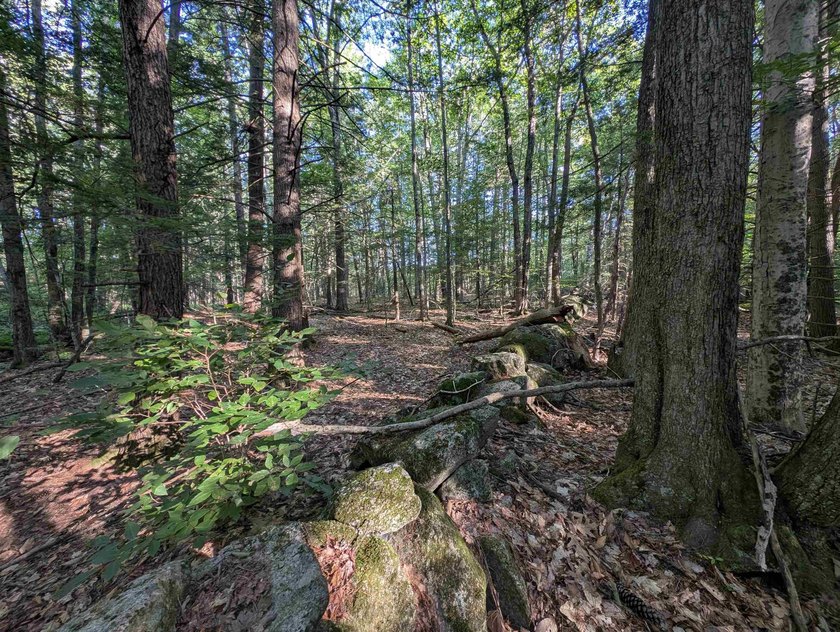 Beautiful 11.933 acre lot that looks out on the 1st fairway of - photo 15
