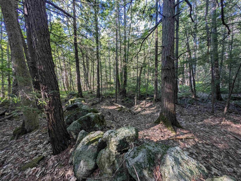 Beautiful 11.933 acre lot that looks out on the 1st fairway of - photo 16