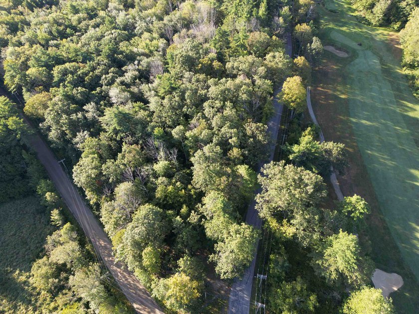 Beautiful 11.933 acre lot that looks out on the 1st fairway of - photo 17