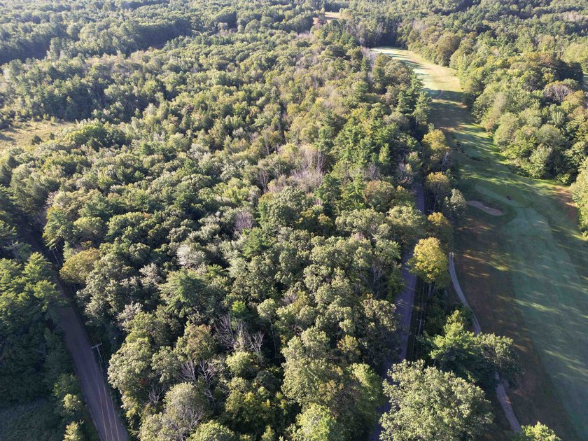 Beautiful 11.933 acre lot that looks out on the 1st fairway of - photo 18