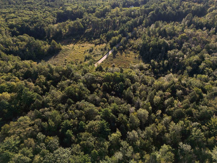 Beautiful 11.933 acre lot that looks out on the 1st fairway of - photo 20