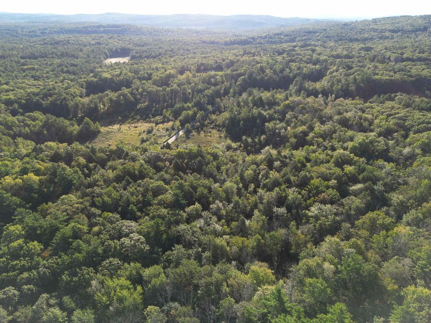 Beautiful 11.933 acre lot that looks out on the 1st fairway of - photo 21