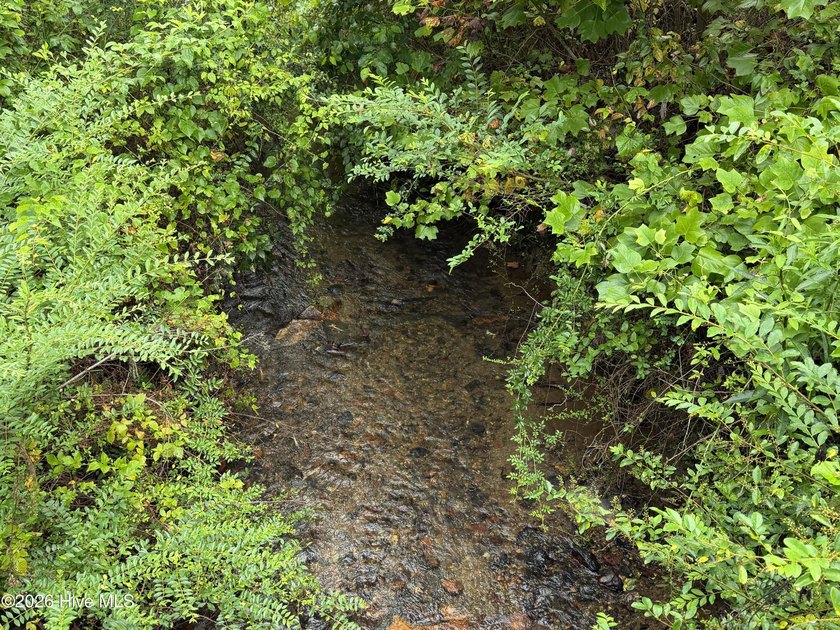 Nestled in the scenic mountains of Western North Carolina, this - photo 10