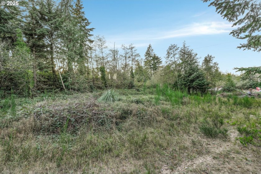 Discover the potential of this 1.51-acre multi-residential - photo 13