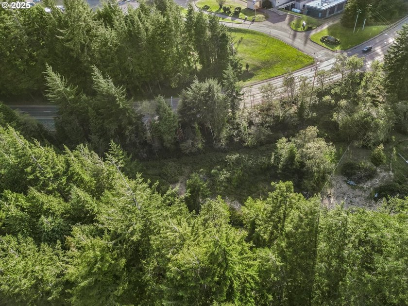 Discover the potential of this 1.51-acre multi-residential - photo 25
