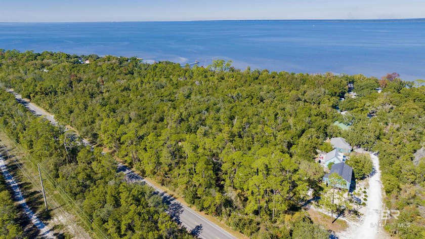 Discover an exceptional opportunity to own over 3 acres along - photo 4