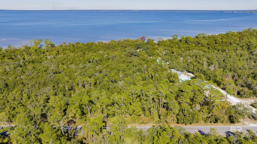 Discover an exceptional opportunity to own over 3 acres along - photo 6