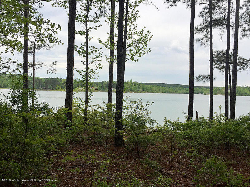 Lot 5 Stillwater Cove, Double Springs, AL 35553, 727899